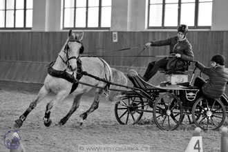 17.2.2018 - hobby spřežení Brno