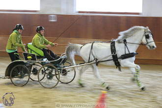 17.2.2018 - hobby spřežení Brno