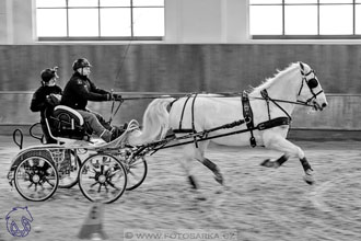 17.2.2018 - hobby spřežení Brno