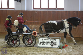 17.2.2018 - hobby spřežení Brno