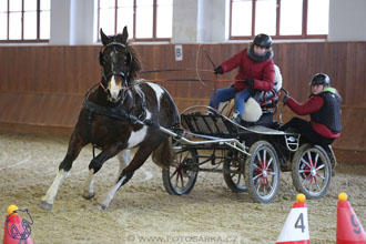 17.2.2018 - hobby spřežení Brno