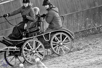 17.2.2018 - hobby spřežení Brno