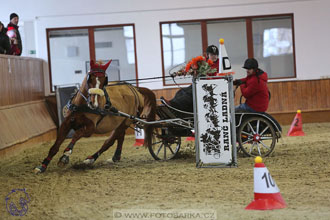 17.2.2018 - hobby spřežení Brno