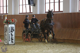 17.2.2018 - hobby spřežení Brno