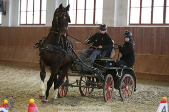 17.2.2018 - hobby spřežení Brno