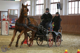 17.2.2018 - hobby spřežení Brno