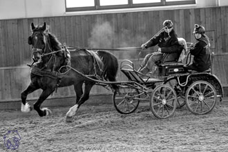 17.2.2018 - hobby spřežení Brno