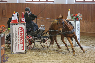 17.2.2018 - hobby spřežení Brno