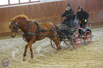 17.2.2018 - hobby spřežení Brno