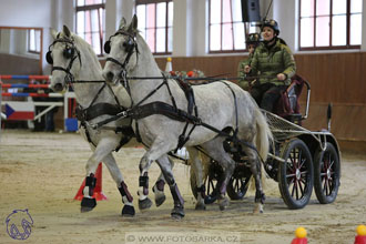 17.2.2018 - hobby spřežení Brno