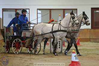 17.2.2018 - hobby spřežení Brno