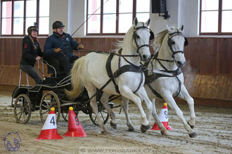 17.2.2018 - hobby spřežení Brno