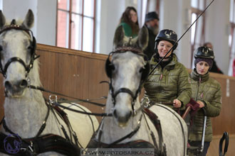 17.2.2018 - hobby spřežení Brno