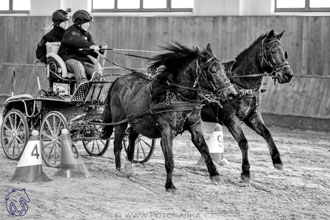 17.2.2018 - hobby spřežení Brno