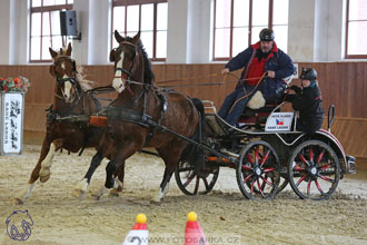 17.2.2018 - hobby spřežení Brno