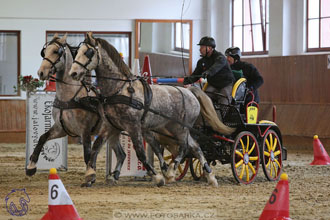 17.2.2018 - hobby spřežení Brno