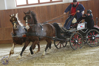 17.2.2018 - hobby spřežení Brno