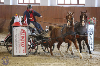 17.2.2018 - hobby spřežení Brno