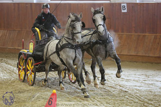 17.2.2018 - hobby spřežení Brno