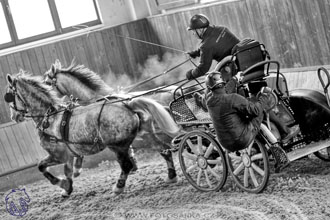 17.2.2018 - hobby spřežení Brno