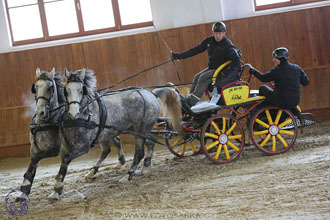 17.2.2018 - hobby spřežení Brno