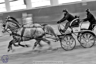 17.2.2018 - hobby spřežení Brno