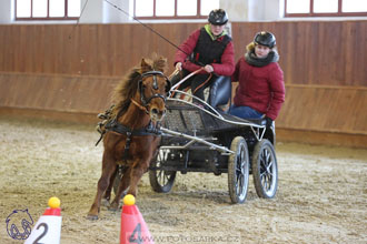 17.2.2018 - hobby spřežení Brno