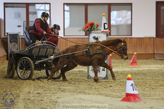 17.2.2018 - hobby spřežení Brno