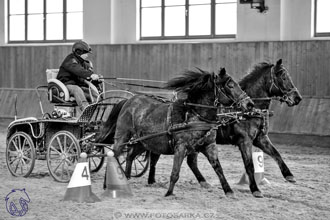 17.2.2018 - hobby spřežení Brno