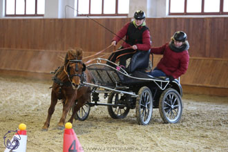 17.2.2018 - hobby spřežení Brno