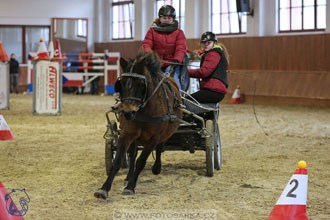 17.2.2018 - hobby spřežení Brno