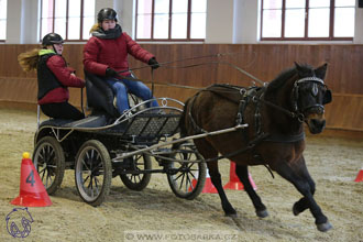 17.2.2018 - hobby spřežení Brno