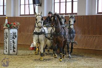 17.2.2018 - hobby spřežení Brno