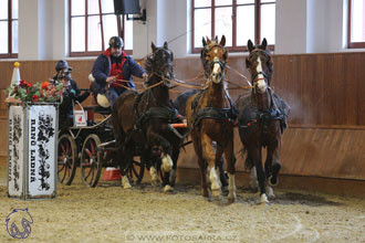 17.2.2018 - hobby spřežení Brno