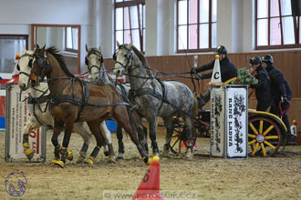 17.2.2018 - hobby spřežení Brno