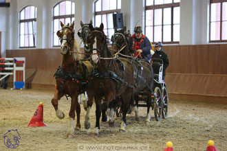 17.2.2018 - hobby spřežení Brno