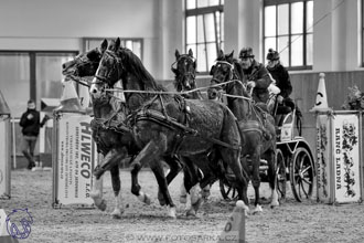 17.2.2018 - hobby spřežení Brno