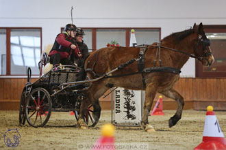 18.2.2018 - spřežení Brno