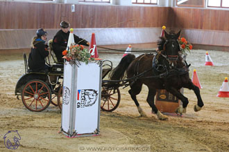 18.2.2018 - spřežení Brno