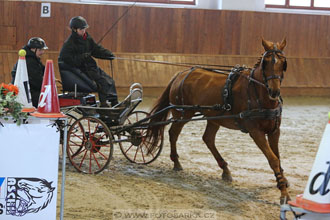 18.2.2018 - spřežení Brno