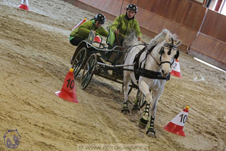 18.2.2018 - spřežení Brno