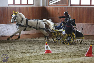 18.2.2018 - spřežení Brno