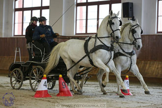 18.2.2018 - spřežení Brno