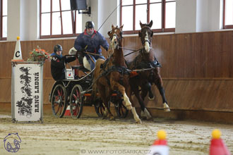 18.2.2018 - spřežení Brno