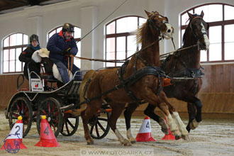 18.2.2018 - spřežení Brno