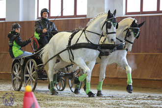 18.2.2018 - spřežení Brno