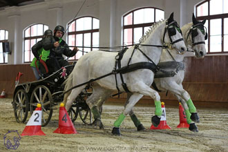 18.2.2018 - spřežení Brno