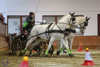 18.2.2018 - spřežení Brno