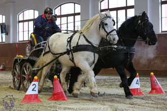 18.2.2018 - spřežení Brno