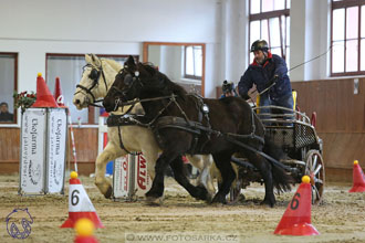 18.2.2018 - spřežení Brno